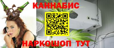 spice Тара